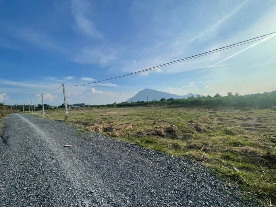 Đất nền Suối Đá Dương Minh Châu 3600m² giá chỉ 800 triệu - Cơ hội đầu tư tuyệt vời!