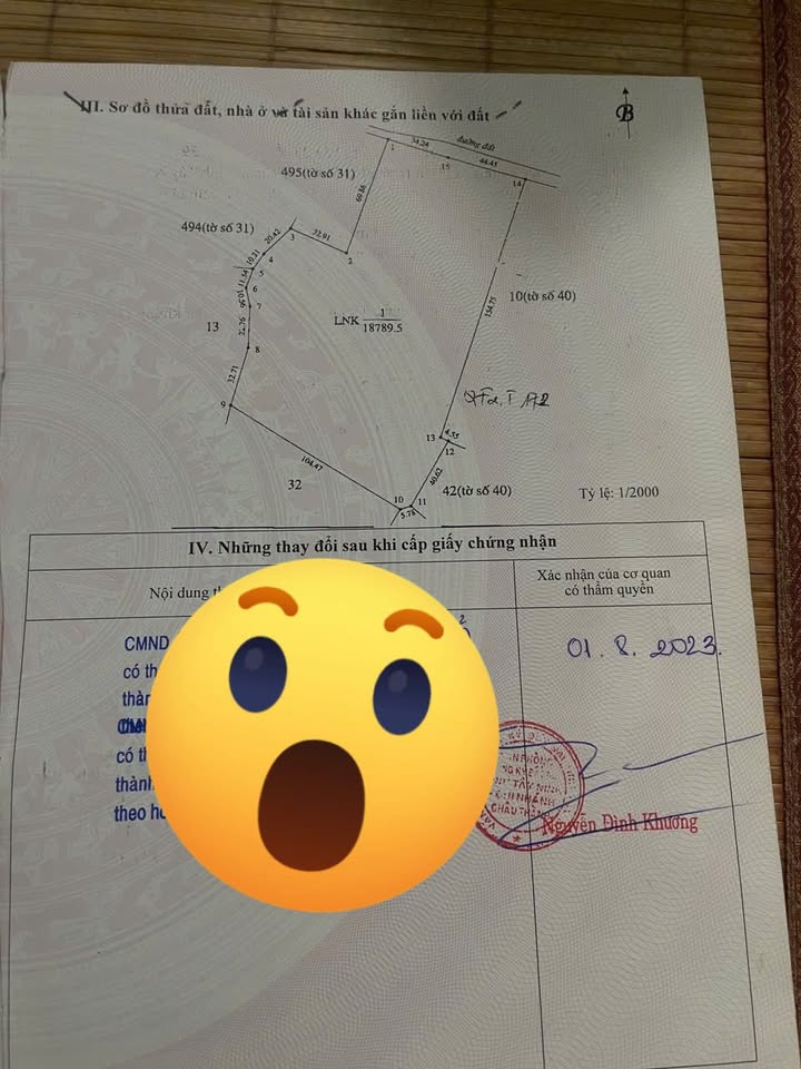 Đất Hảo Đước Châu Thành 4000m² - Thương lượng chính chủ, giá tốt!