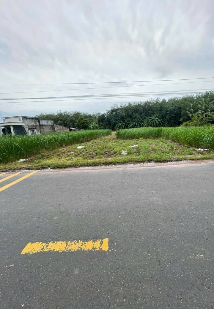 Đất mặt tiền đường 788, 1100m² giá 1.1 tỷ - Đầu tư sinh lời ngay!