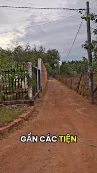 Nhà đất 2 mặt tiền Ấp Tân Trung, Tây Ninh 1403m² - Giá tốt thương lượng!