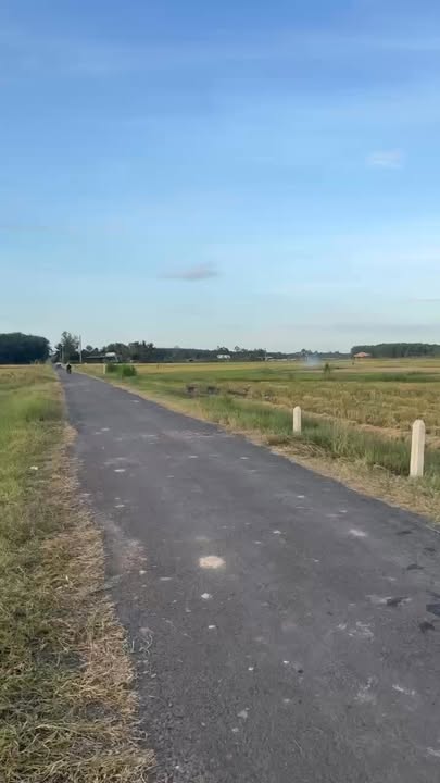 Đất nền Dương Minh Châu 145m² giá chỉ 3xx triệu - Lợi thế đầu tư hấp dẫn!