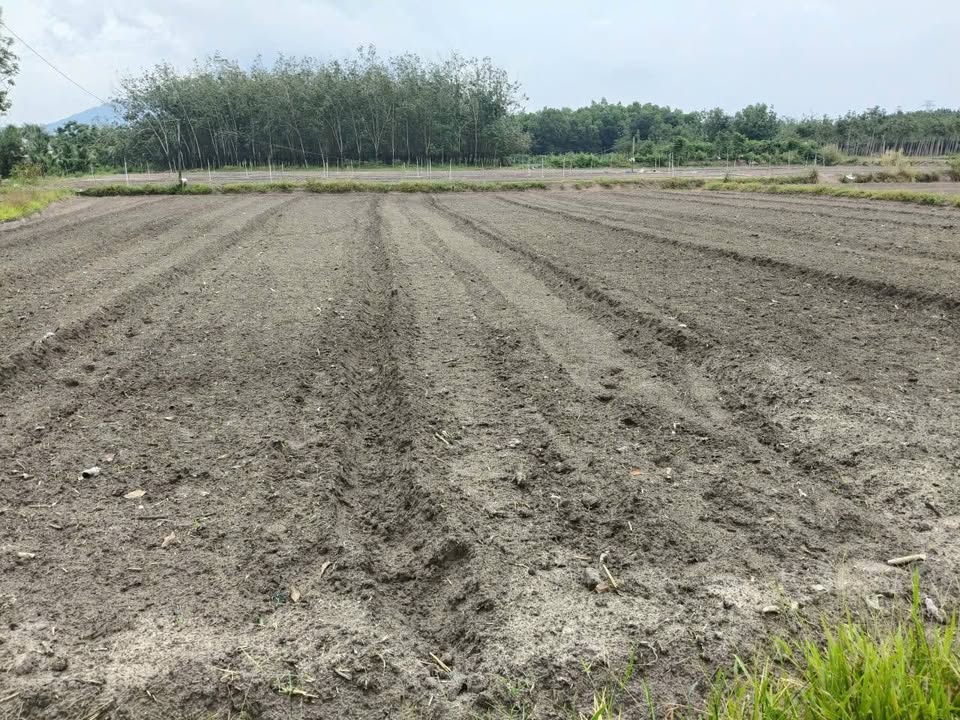 Đất 3 mặt tiền phường Bình Minh, Tây Ninh 3402m² giá 26 triệu/m² - Cơ hội đầu tư lý tưởng!