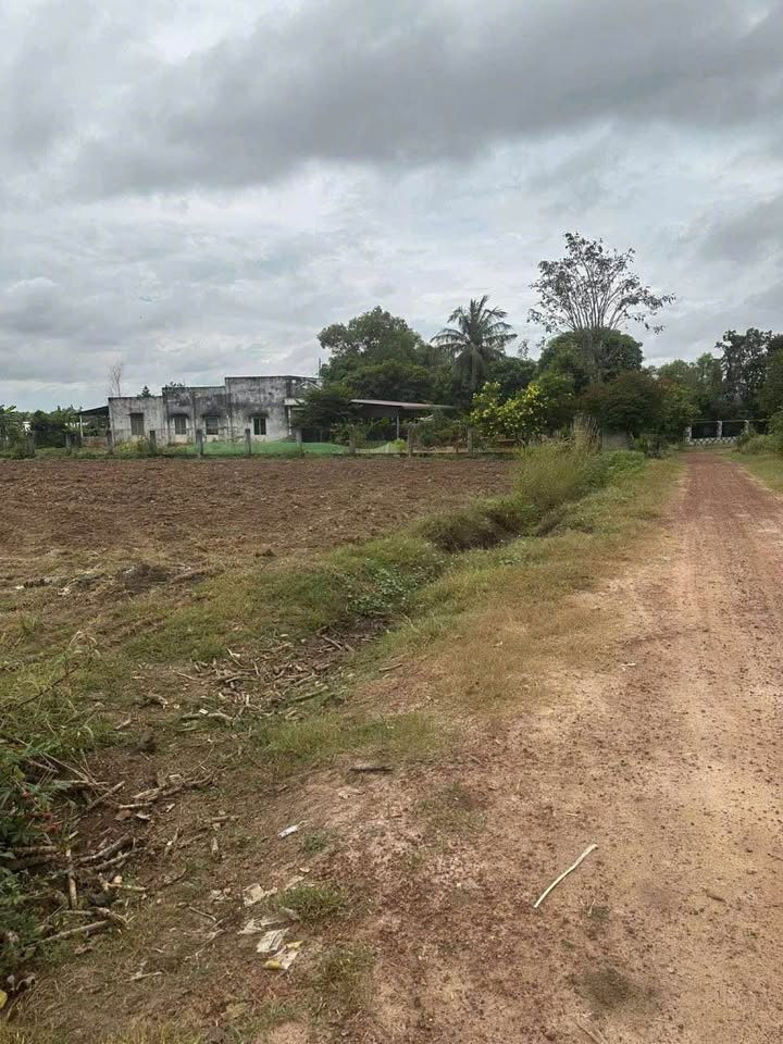 Đất nền 10.000m² đường Sỏi Đỏ, Phước Vinh, Châu Thành - Giá siêu hấp dẫn!