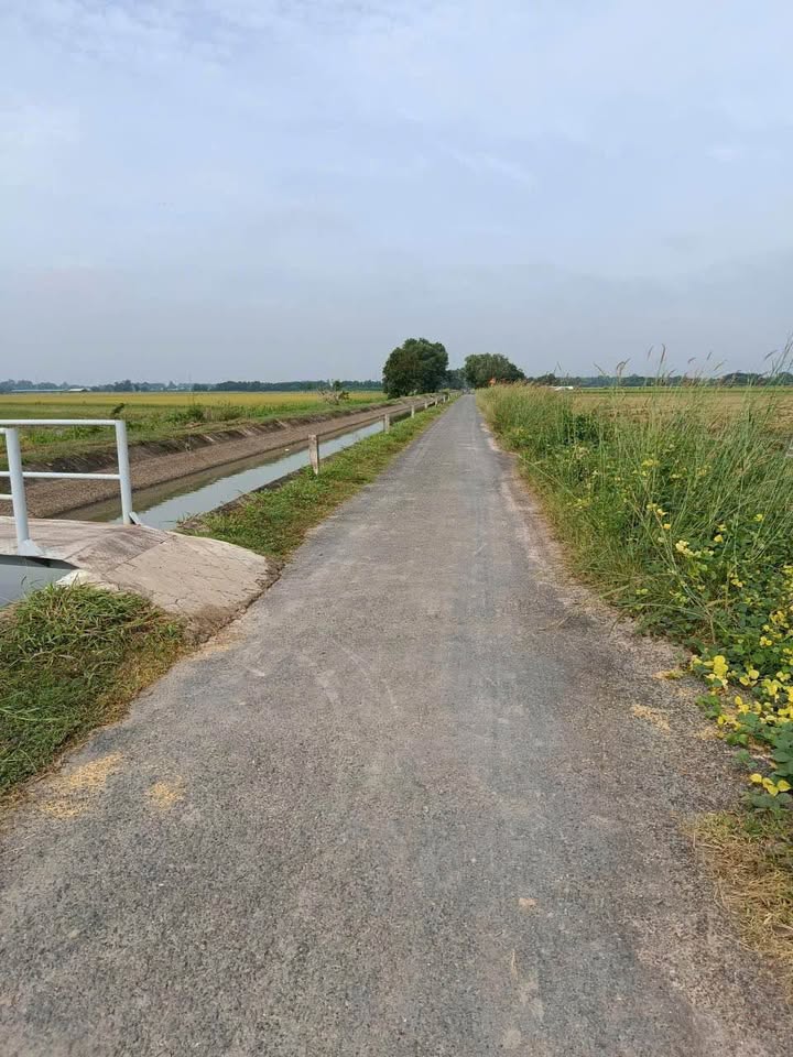 Farm Thái Bình Châu Thành 13,000m² giá 1.3 tỷ - Mô hình vườn ao chuồng lý tưởng!