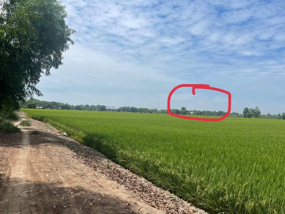 Đất Bán Gấp Tại Thanh Điền, Châu Thành - 3400m² chỉ 150 triệu!