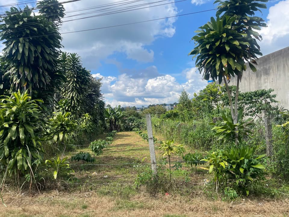 Đất nền đường Số 4 Lộc An - Bảo Lâm 208.3m² giá 1.4 tỷ - Đầu tư sinh lời ngay!