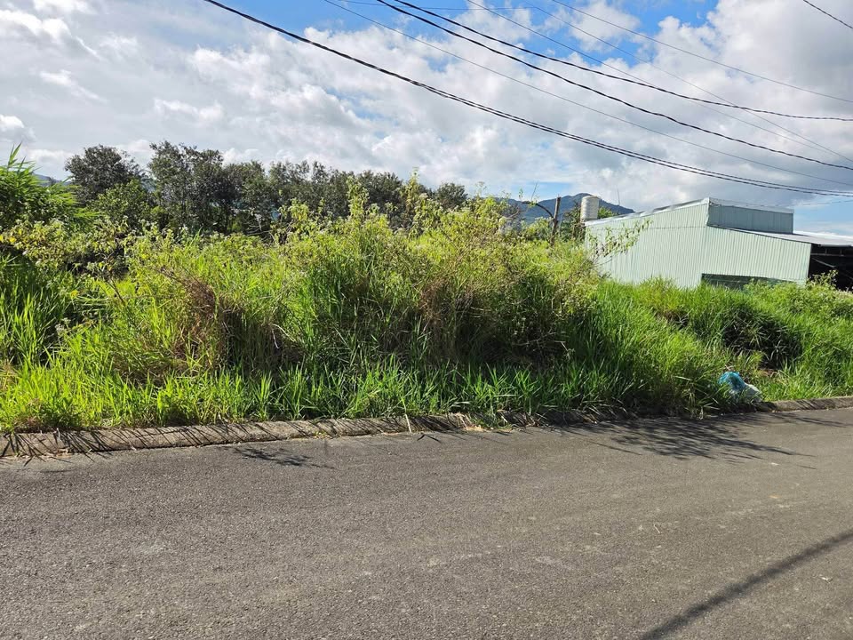 Đất thổ cư 200m² tại Lộc Thành, Bảo Lâm chỉ 730 triệu - Cơ hội đầu tư hấp dẫn!