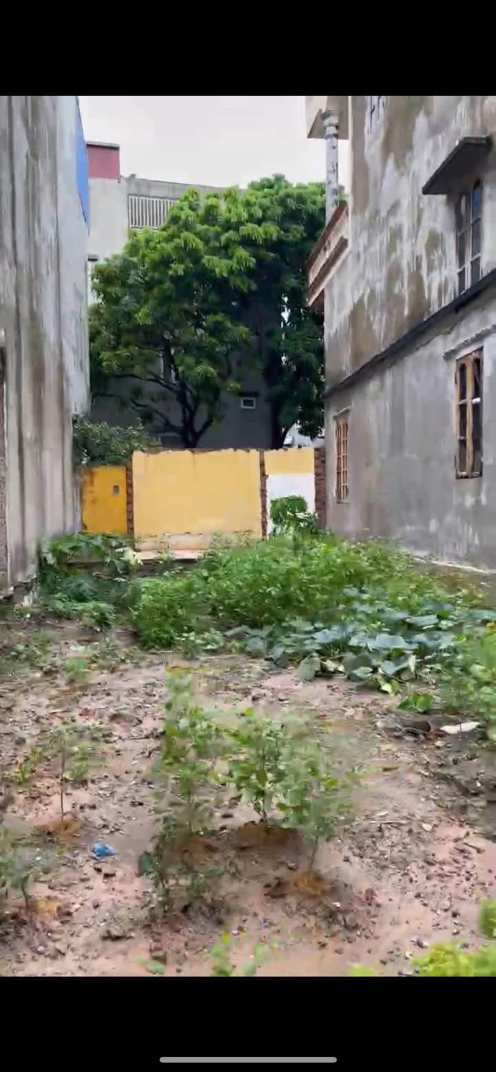 Đất nền chính chủ tại đường Trần Thái Tông 50m² giá 1.43 tỷ - Thương lượng ngay!