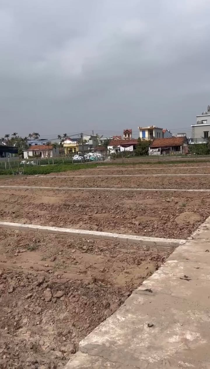 Đất mặt biển Thịnh Long, Nam Định 92m² - Cách biển 50m, đầu tư sinh lời!