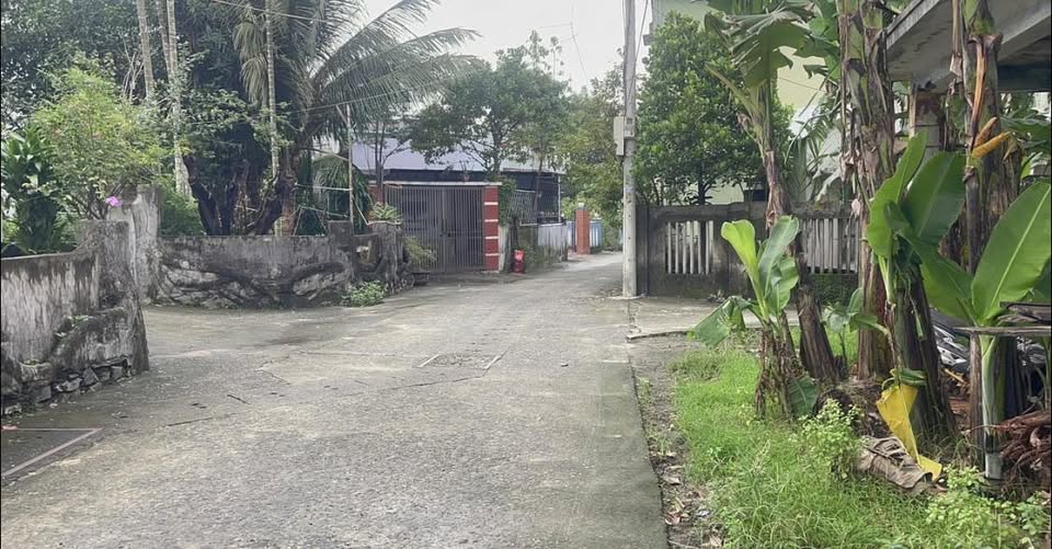 Đất nền Hòa Sơn Đà Nẵng 130m² giá 1.48 tỷ - Đầu tư sinh lời ngay!