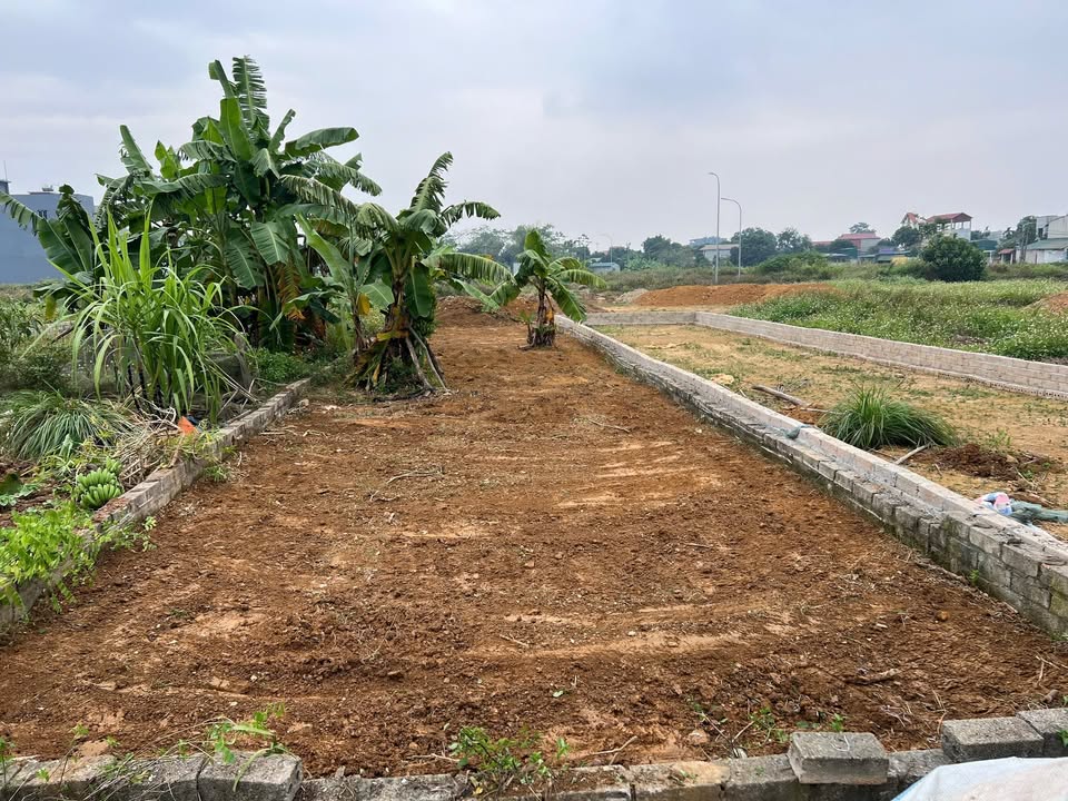 Đất nền xã Bình Yên, Thạch Thất, 136m² - Giá tốt đầu tư nhanh!