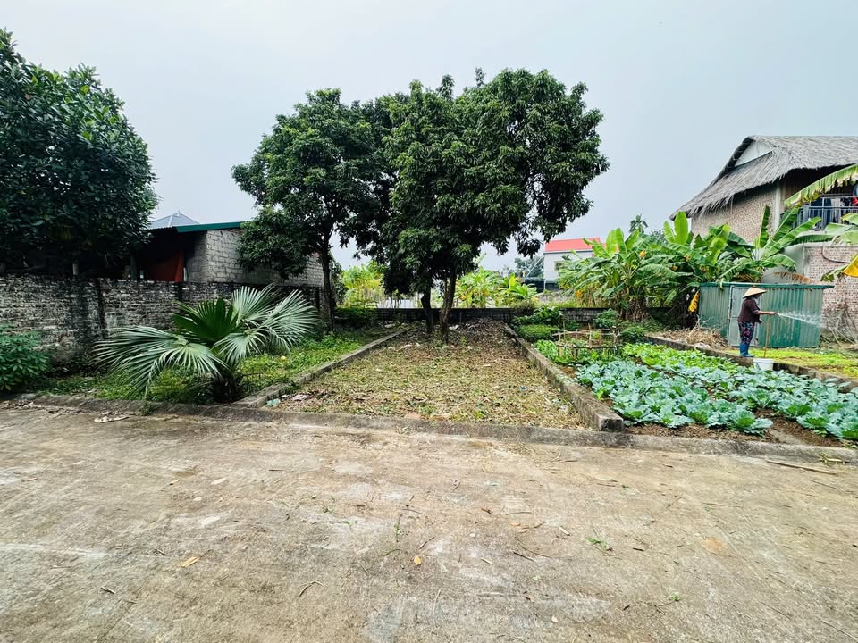 Đất thổ cư thôn Phúc Tiến, Hạ Bằng 64m² giá 2 tỷ - Cơ hội đầu tư vàng!