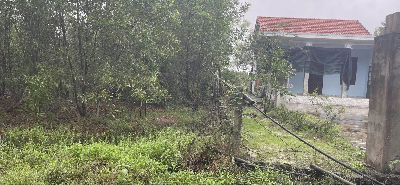 Đất nền Quảng Lợi, Quảng Điền 400m² giá 1.1 tỷ - Vị trí thuận lợi gần trường học!