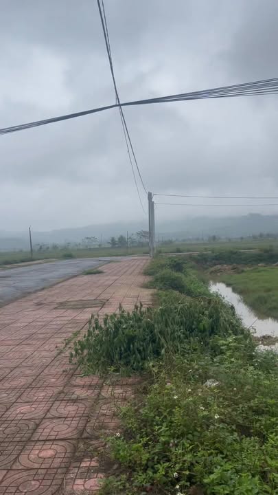 Đất đấu giá Bài Sơn Đô Lương 200m² giá 1 tỷ - Đầu tư sinh lời ngay!