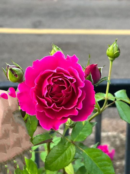 Đất Tân Khai 2200m² giá 700 triệu - Mặt tiền đường Quốc lộ 13