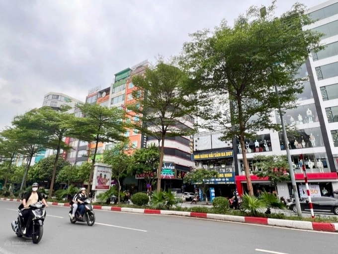 Đất mặt tiền Trần Thái Tông 129m² giá thỏa thuận - Vị trí đắc địa, giao dịch nhanh!