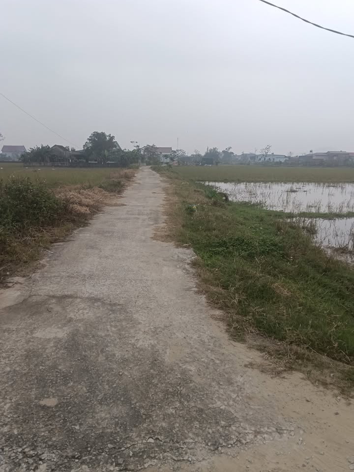 Đất nền đẹp Cổ Đạm Nghi Xuân 215m² - Giá thỏa thuận hấp dẫn!