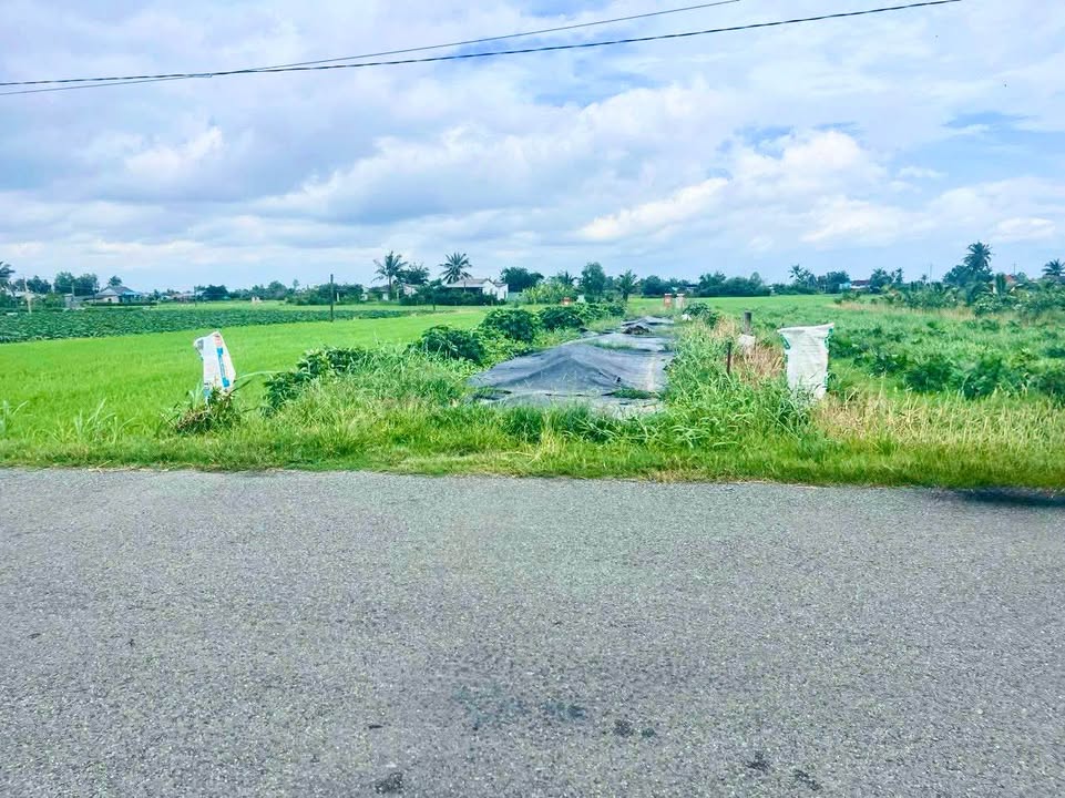 Đất thổ cư mặt tiền đường nhựa Bình Trinh Tân Trụ 240m² giá 1.5 tỷ - Đầu tư sinh lời hấp dẫn!