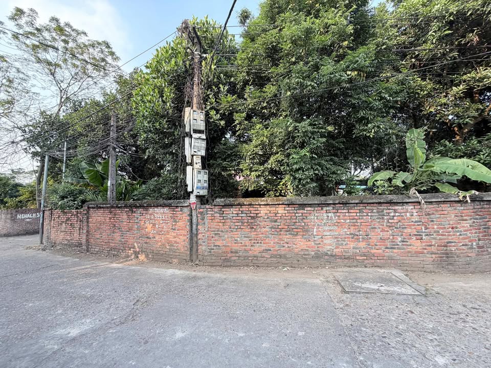 Đất nền 500m² Cẩm Đội, Việt Trì - Cơ hội đầu tư hiếm có gần KCN Thụy Vân!