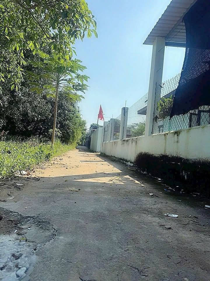 Đất nền Tam Phước Long Điền 100m² giá chỉ 300 triệu - Cơ hội đầu tư hấp dẫn!