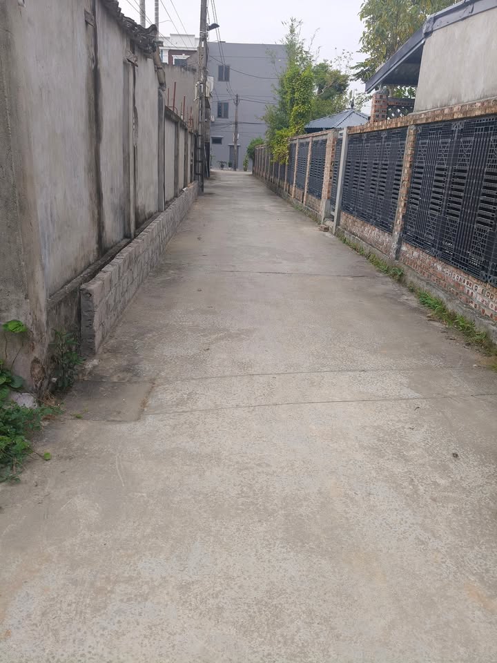 Đất Phù Liễn, Kiến An, Hải Phòng 80m² giá 1.9 tỷ - Chính chủ, ra lộc ngay!