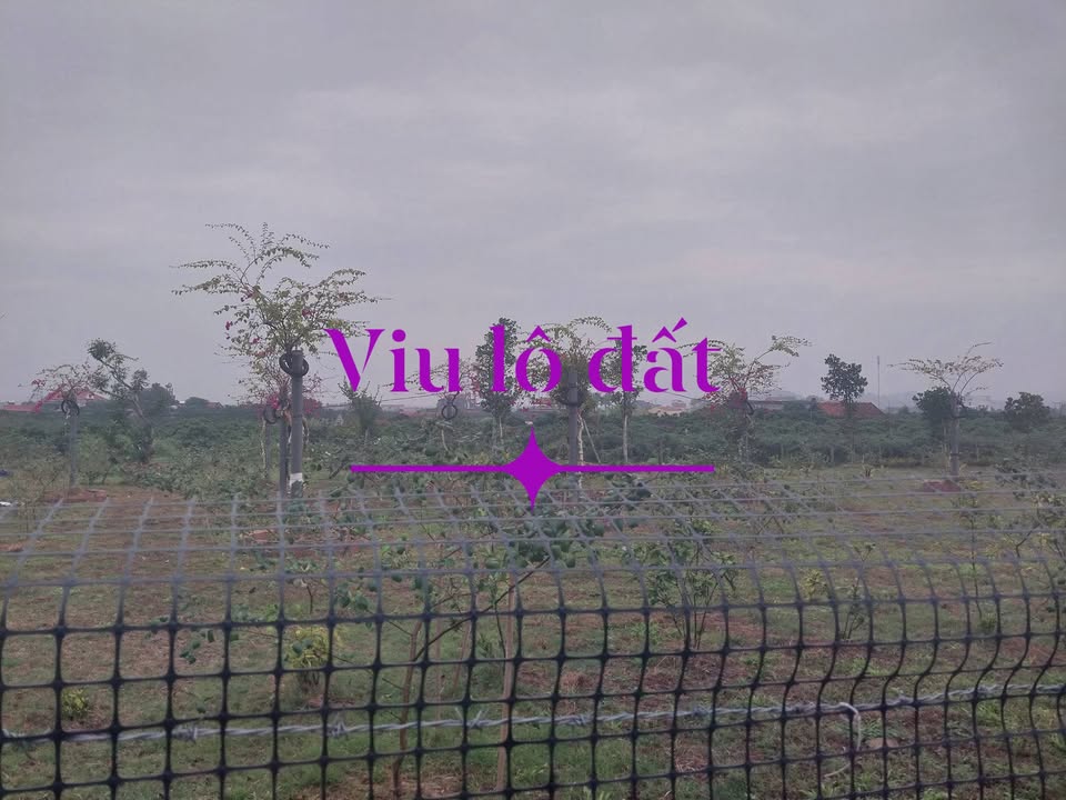 Đất vườn Tân Lập, Lục Ngạn 4000m² giá chỉ 1.1 tỷ - Địa thế đắc địa, đầu tư sinh lời!