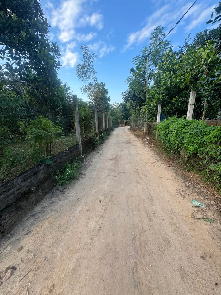 Đất nền xã Trung Môn, Yên Sơn 50m² giá 2 tỷ - Cơ hội đầu tư hấp dẫn!