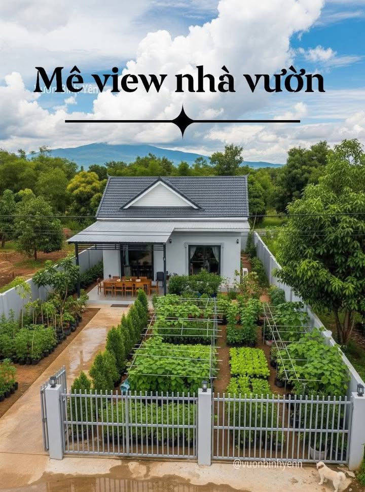 Đất nền Phú Xuân 1040m² giá 160 triệu - Cơ hội đầu tư hiếm có!