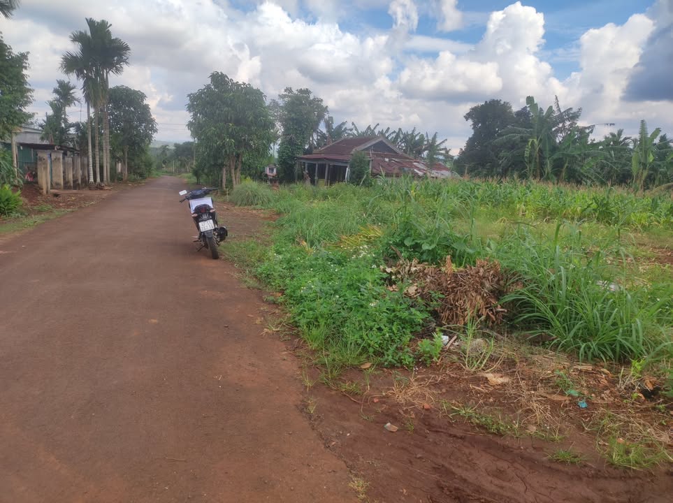 Đất nền Phú Xuân Krông Năng 836m² - Hai mặt đường, giá bán hợp lý!