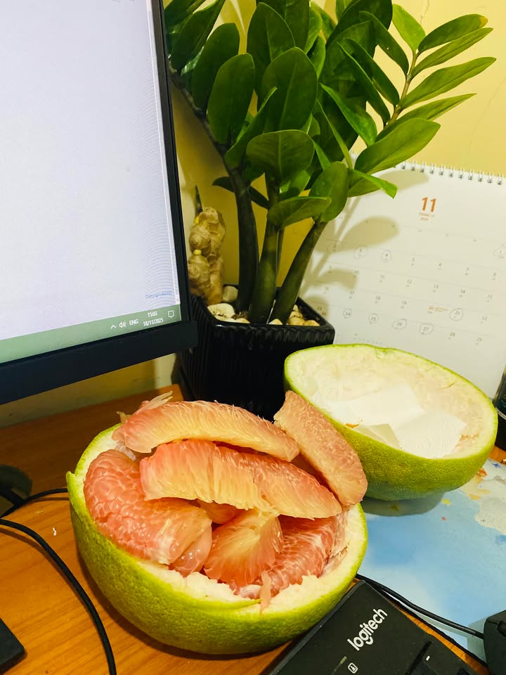 Đất chính chủ Cẩm Thanh 145m² giá 3.045 tỷ - Cơ hội đầu tư tuyệt vời!