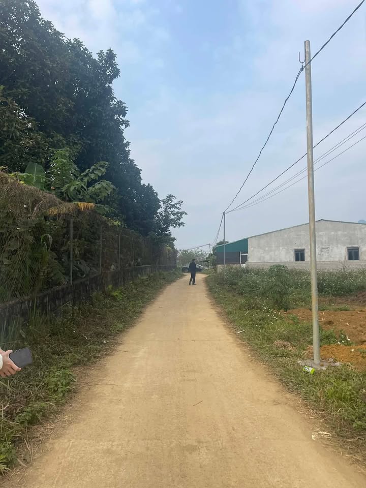 Đất nền Phong Quang 590m² giá chỉ 590 triệu - Cơ hội đầu tư tuyệt vời!