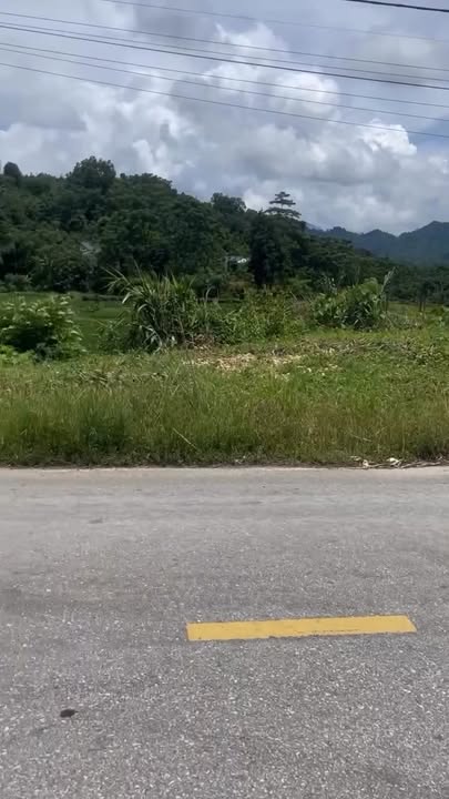 Đất nền tại xã Trung Thành, Vị Xuyên, Hà Giang 1.119m² - Mặt đường nhựa 50m, giá chỉ 1 tỷ!