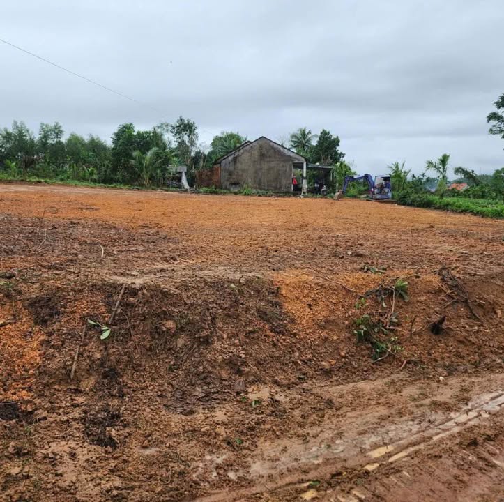 Đất vườn Tịnh Đông, Sơn Tịnh 1000m² giá 690 triệu - Cơ hội đầu tư hấp dẫn!