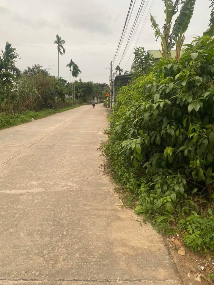 Đất nền mặt tiền Liên Huyện Nghĩa Hành 155m² giá 700 triệu - Cơ hội đầu tư hấp dẫn!