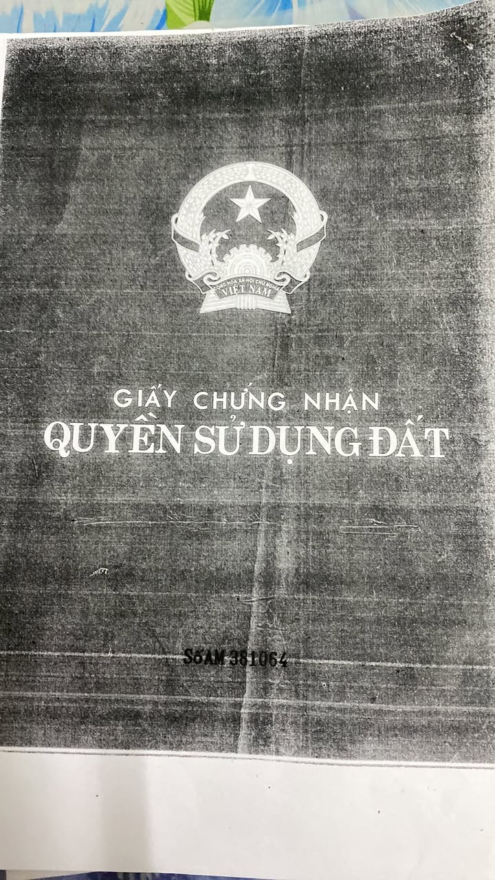Đất nền hẻm 83/9 Nguyễn Trung Trực, An Bình 130m² giá 350 triệu - Bán nhanh chính chủ!
