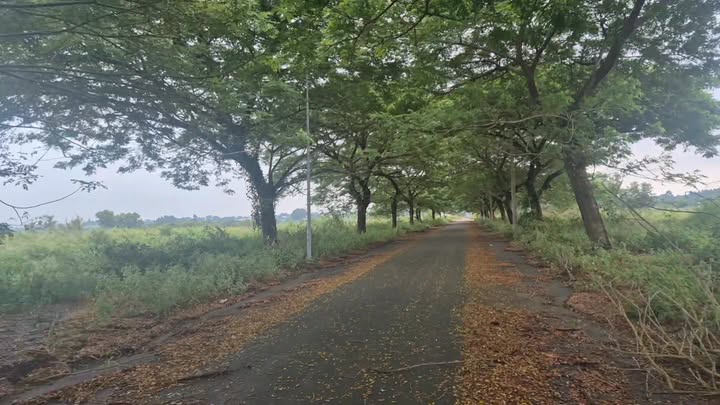 Đất liền kề khu Lan Anh 6, phường Tam Long, Bà Rịa - Vũng Tàu 126m² giá 1.4 tỷ - Sổ đỏ chính chủ!