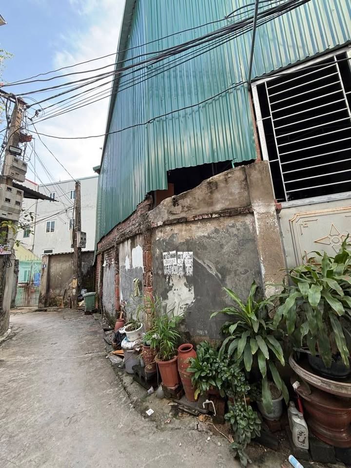 Đất lô góc Tân Lập Đan Phượng 136m² giá 10 tỷ - Ô tô vào tận nhà!