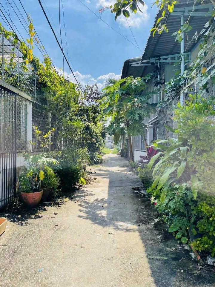 Đất nền Phước Hậu, Vĩnh Long 119m² giá 750 triệu - Sổ đỏ chính chủ, công chứng nhanh!