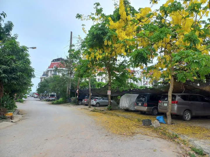 Nhà phố KĐT Văn Phú Hà Đông 56m² giá 14 tỷ - Phù hợp ở và văn phòng!