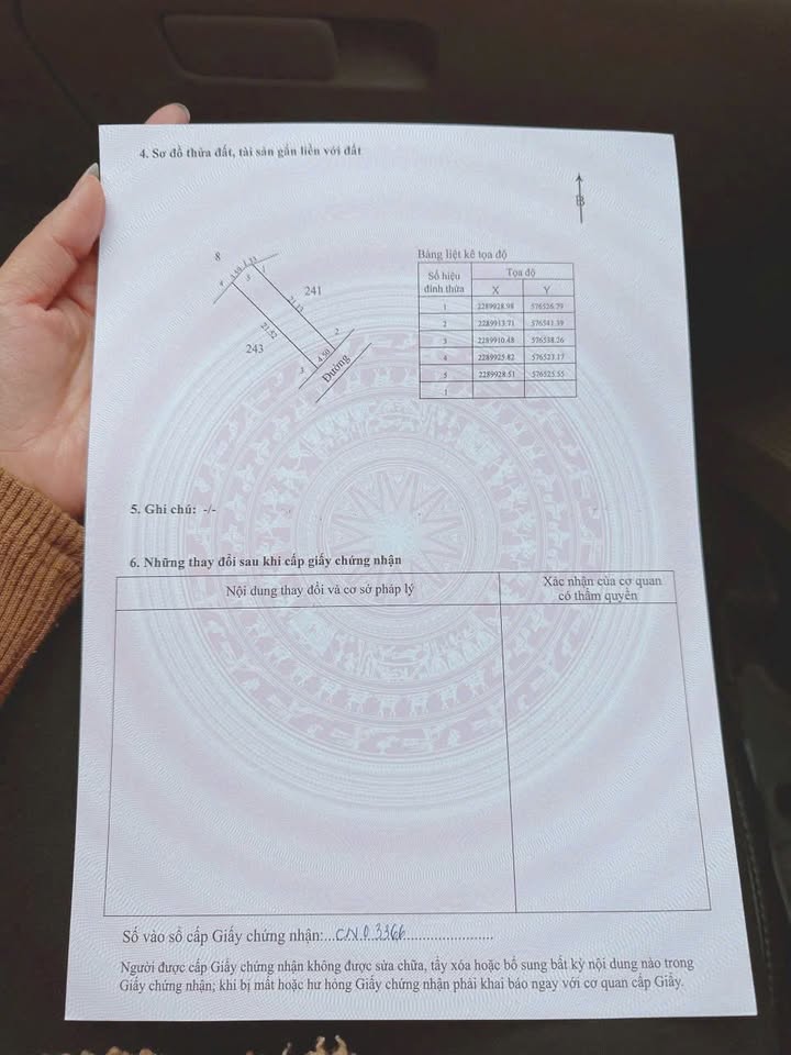 Đất nền Tam Đa - Phủ Cừ 100m² giá chỉ 900 triệu - Đầu tư sinh lời ngay!