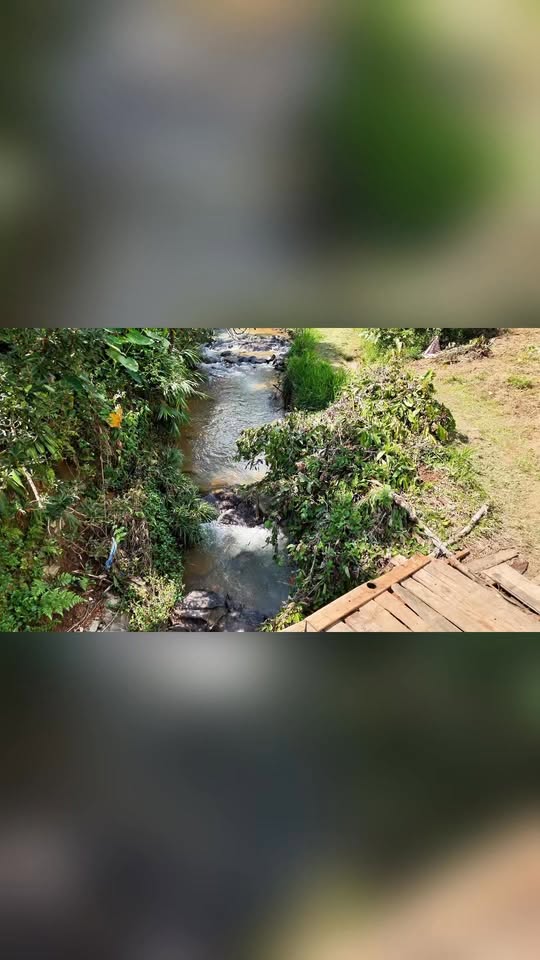 Đất nền 8 sào tại Lộc Thành, Bảo Lâm giá chỉ 4.5 tỷ - Đầu tư sinh lời ngay!