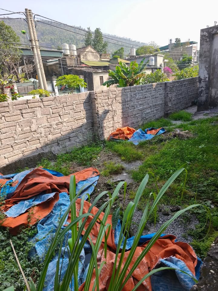 Nhà cho thuê Cẩm Sơn 2PN giá 1.5 triệu - Ô tô vào tận nơi!