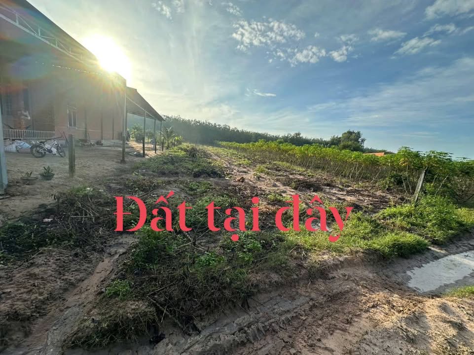 Đất công tại Phước Vinh, Châu Thành 1050m² giá 230 triệu - Cơ hội đầu tư hấp dẫn!