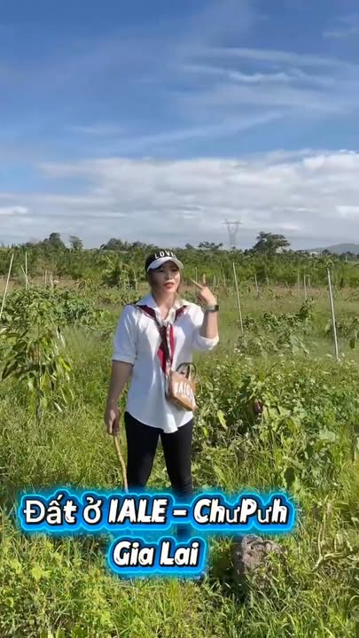 Đất nền 2.6ha tại Ia Le, Chư Pưh, Gia Lai chỉ 3 tỷ - Cơ hội đầu tư tuyệt vời!