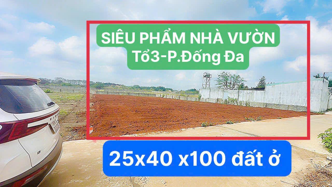 Đất nền Thống Nhất - Pleiku 1000m² - Phù hợp làm nhà kho, homestay!