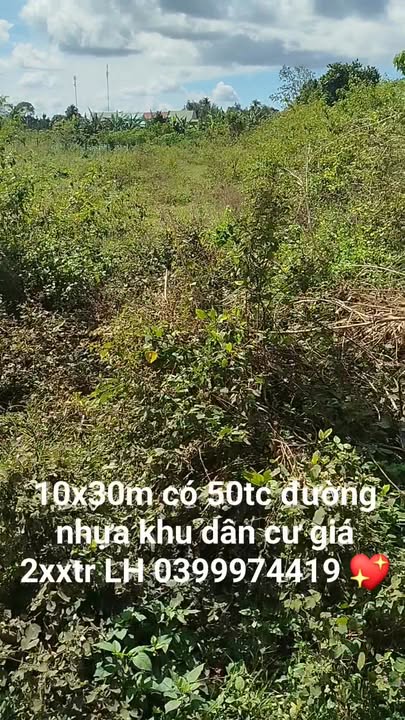 Đất nền xã Iabá, huyện Ia Grai, Gia Lai 300m² - Cơ hội đầu tư tốt!