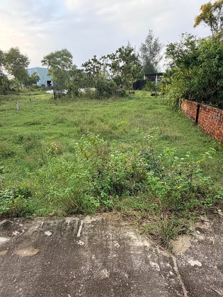 Đất thổ cư 125m² thôn Liễu Thạnh, Thăng Bình giá 300 triệu - Vị trí thuận lợi ngay Quốc lộ 1A!