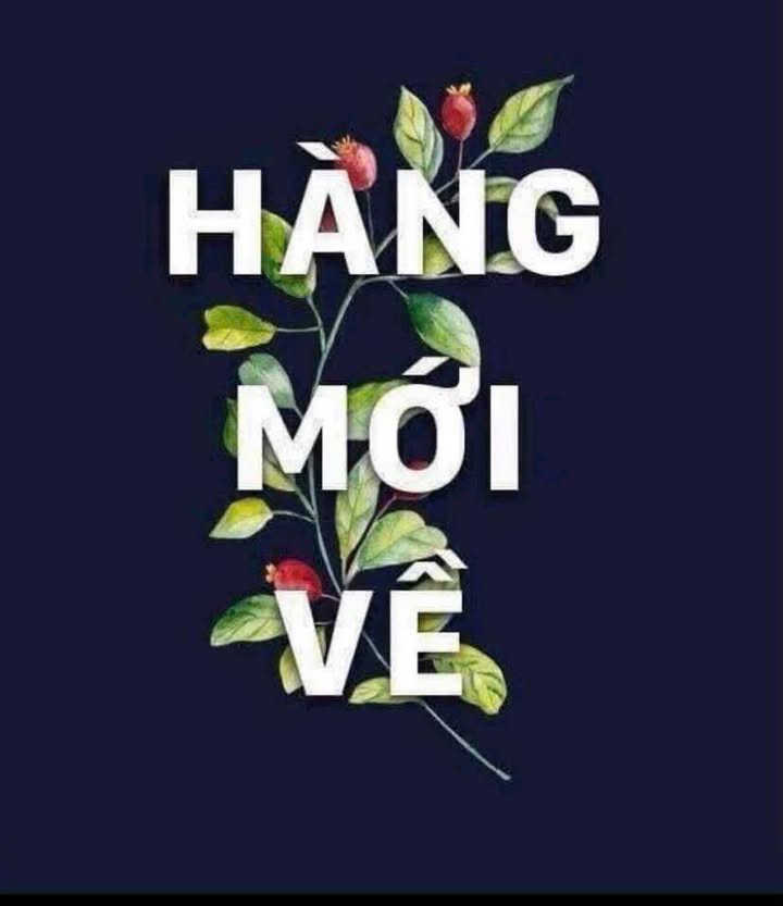 Đất nền phường An Phú, Pleiku 150m² giá chỉ 315 triệu - Cơ hội đầu tư tuyệt vời!