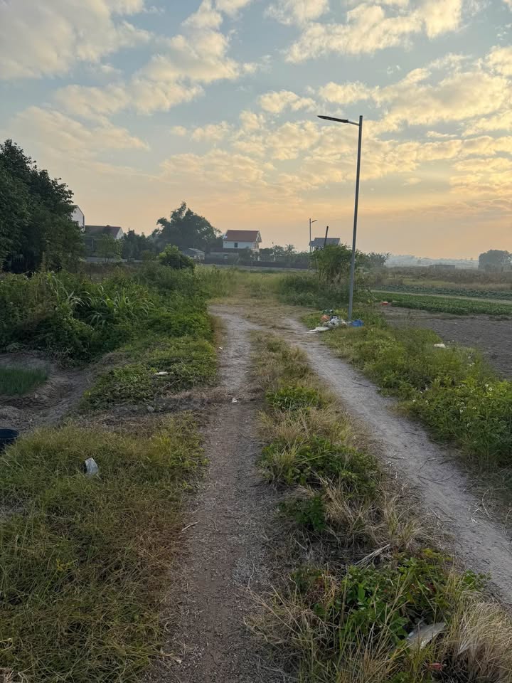 Đất nền Hải Hoà Móng Cái 100m² giá 1 tỷ - Khu đông dân cư, đầu tư sinh lời!