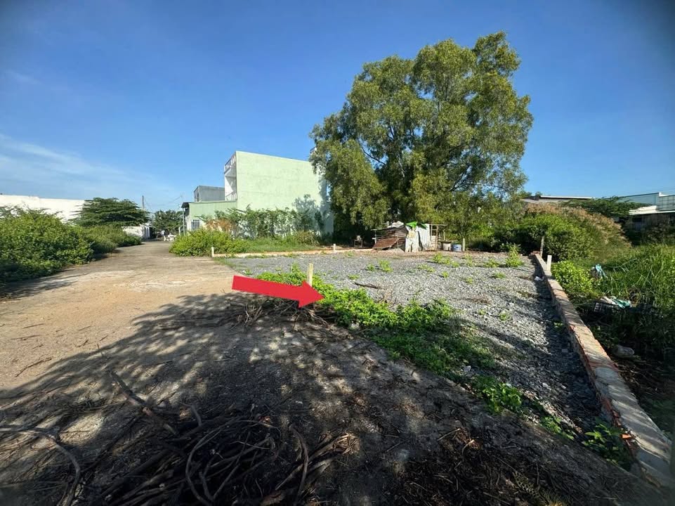 Đất nền 156.5m² xã Đại Phước, Nhơn Trạch - Giá 2.5 tỷ, sổ đỏ chính chủ!